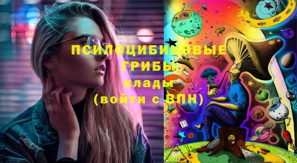 PSILOCYBIN Балабаново