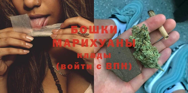 PSILOCYBIN Балабаново
