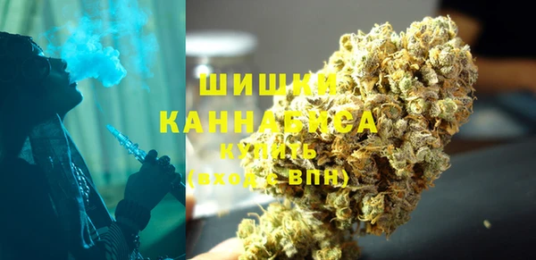 PSILOCYBIN Балабаново