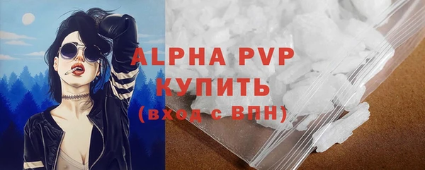 PSILOCYBIN Балабаново