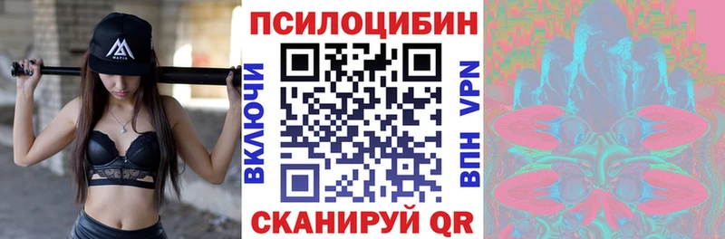 Псилоцибиновые грибы Psilocybe  Владивосток 